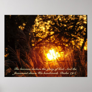 Zonnevaste poster voor mousserend gras