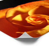 Zonnevaste Roos - Schitterende Natuur Fotografie Poster (Hoek)