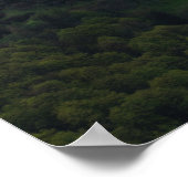 Zonneveld na storm poster (Hoek)