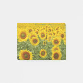 Zonneveld Post-it® Notes (Voorkant)