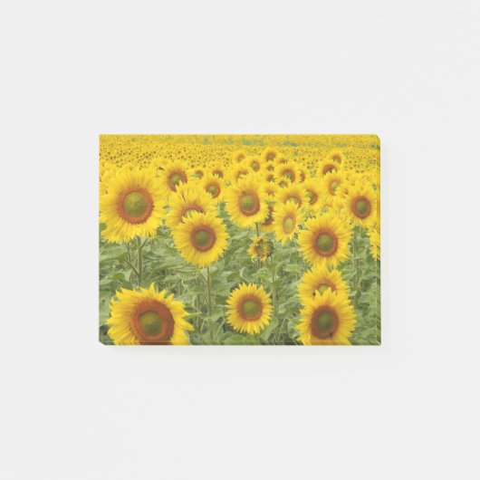 Zonneveld Post-it® Notes (Voorkant)