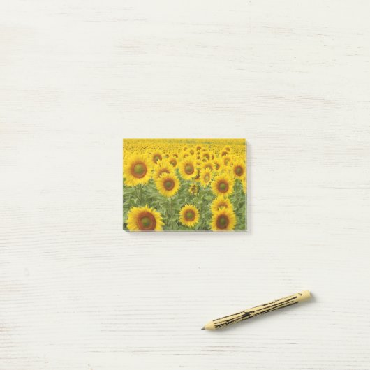 Zonneveld Post-it® Notes (Op bureau)