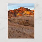 Zonneverbrandingsmotor Briefkaart (Voorkant)