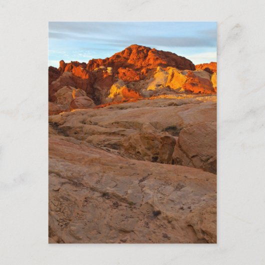 Zonneverbrandingsmotor Briefkaart (Voorkant)