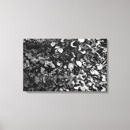 Zonneverlichte bladeren canvas afdruk (Voorkant)