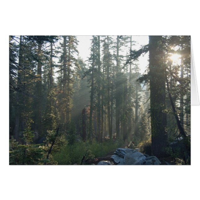 Zonneverlichte eenzaamheid (Voorkant Horizontaal)