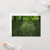 Zonneverlichte ondergroei. Zwarte Bossen, Cardiff Kaart (Voorkant / Achterkant in situ)