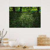 Zonneverlichte ondergroei. Zwarte Bossen, Cardiff Poster (Keuken)