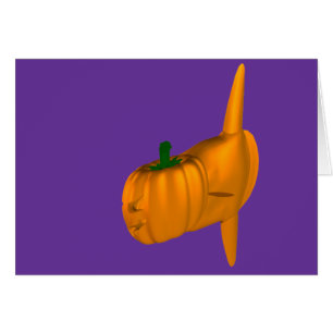 Zonnevis in de Oranje Oceaan