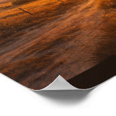 Zonnevlam boven lege prairie poster (Hoek)