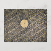 Zonnevlam Briefkaart (Voorkant)