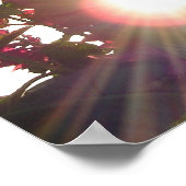 Zonnevlambloemen* Poster (Hoek)