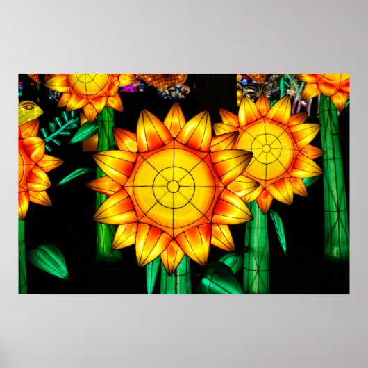 Zonnevlamzonnebloemen poster (Voorkant)