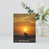 zonnevlegel el tunco briefkaart (Staand voorkant)