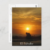 zonnevlegel el tunco briefkaart (Voorkant / Achterkant)