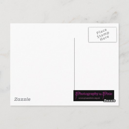 Zonnevloed Briefkaart (Achterkant)