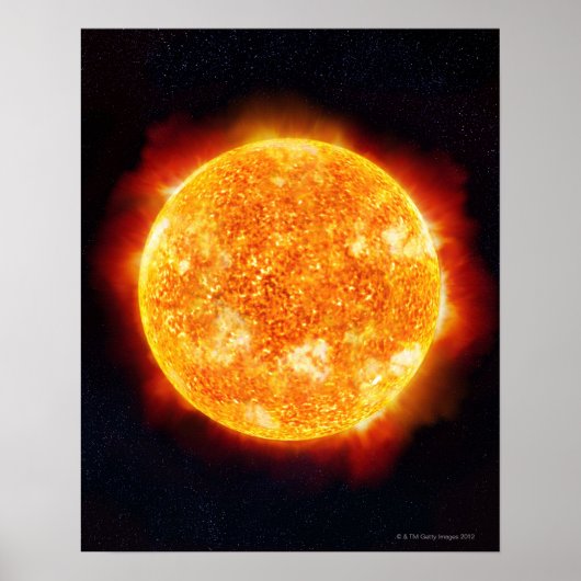 Zonnevloeren Poster (Voorkant)
