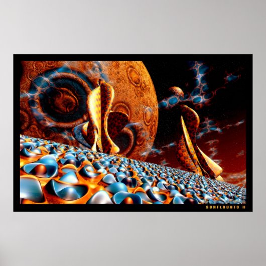 Zonnevlokken II Poster (Voorkant)