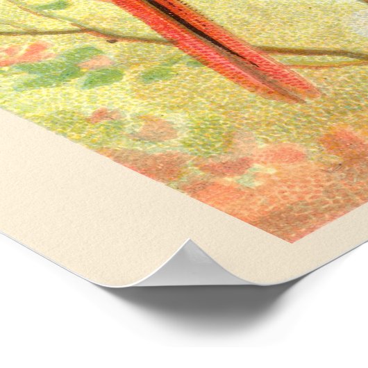 Zonnevogel, Set van 6 Vogelgalerij Muur, 2 van 6 Poster (Hoek)