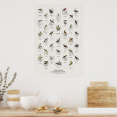 Zonnevogels - Naturalist's Library Poster (Keuken)