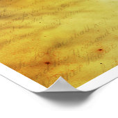 Zonnevogels Poster (Hoek)