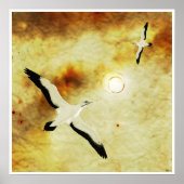 Zonnevogels Poster (Voorkant)