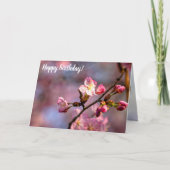 Zonnevolle Sakura-bloemen en -knoppen op een zoete Kaart (Voorkant)