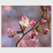 Zonnevolle Sakura-bloemen op een heldere dag Cadeaupapier (Vlak)