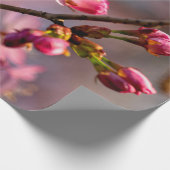 Zonnevolle Sakura-bloemen op een heldere dag Cadeaupapier (Hoek)