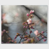 Zonnevolle Sakura-bloemen tegen de wolkenhemel Cadeaupapier (Vlak)