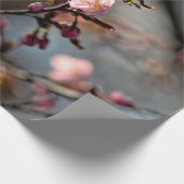 Zonnevolle Sakura-bloemen tegen de wolkenhemel Cadeaupapier (Hoek)