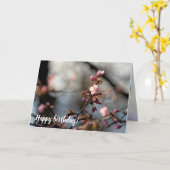 Zonnevolle Sakura-bloemen tegen de wolkenhemel Kaart (Gele Bloem)