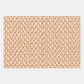 Zonnevredesveren, nieuw ontwerp inpakpapier vel (Voorkant 3)