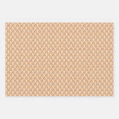 Zonnevredesveren, nieuw ontwerp inpakpapier vel (Voorkant)