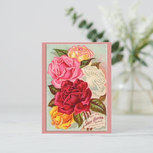 Zonnevrije Rozen Briefkaart (Staand voorkant)