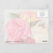 Zonnevrije Rozen Briefkaart (Achterkant)