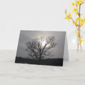 Zonnewende Zon Ik wens je een prettige zonnewende Kaart (Gele Bloem)