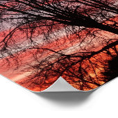 Zonnewerk en Poster van de boom (Hoek)