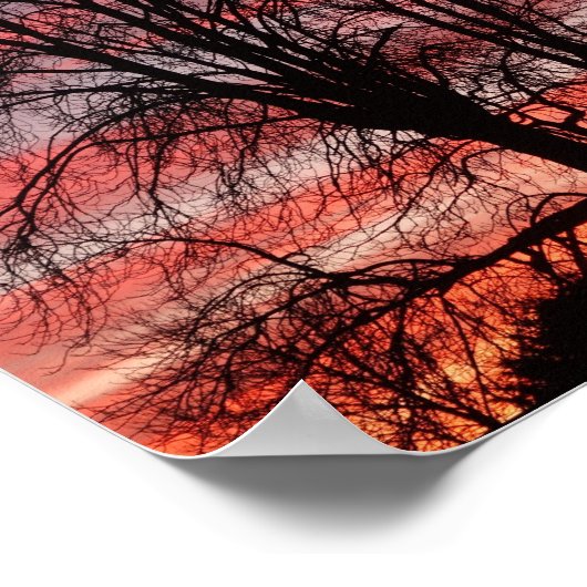 Zonnewerk en Poster van de boom (Hoek)