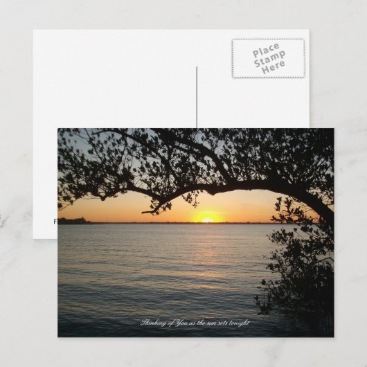 Zonnewerk onder boom briefkaart (Voorkant / Achterkant)