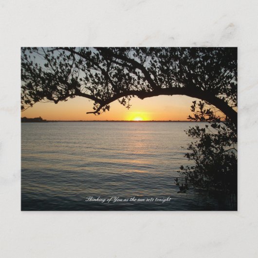 Zonnewerk onder boom briefkaart (Voorkant)