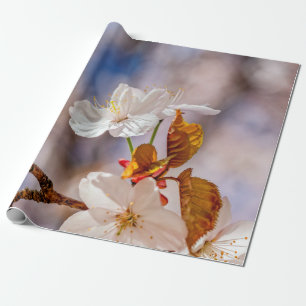 Zonnewitte lauw en Oranje bladeren Cadeaupapier