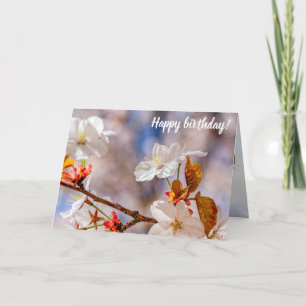 Zonnewitte lauw en Oranje bladeren Kaart