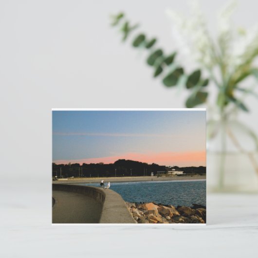 Zonnezeegarnaal Briefkaart (Staand voorkant)