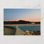 Zonnezeegarnaal Briefkaart (Voorkant)