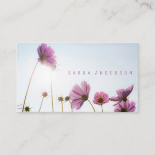 Zonnezeemijlen/Roze Daisy Flowers Floral Visitekaartje