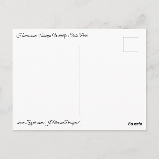 zonnezeeschildpad briefkaart (Achterkant)