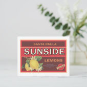 Zonnezijde Briefkaart (Staand voorkant)