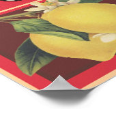 Zonnezijde Poster (Hoek)