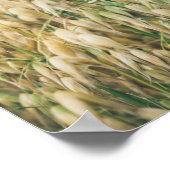 Zonnezomervelden Poster (Hoek)